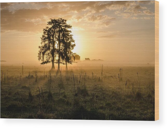 Dinner Island Ranch Wood Print featuring the photograph Sunrise At Dinner Island Ranch #2 by Bill Martin