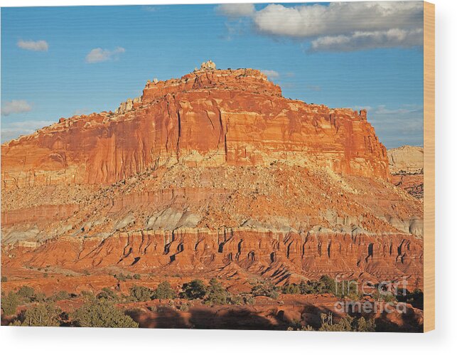 Autumn Wood Print featuring the photograph The Goosenecks Capitol Reef National Park #2 by Fred Stearns