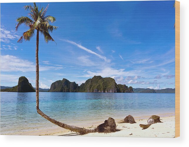 Tropical Tree Wood Print featuring the photograph The Philippines, Palawan Province, El #2 by Tropicalpixsingapore