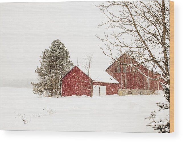 Canada Wood Print featuring the photograph The red barn #2 by Nick Mares