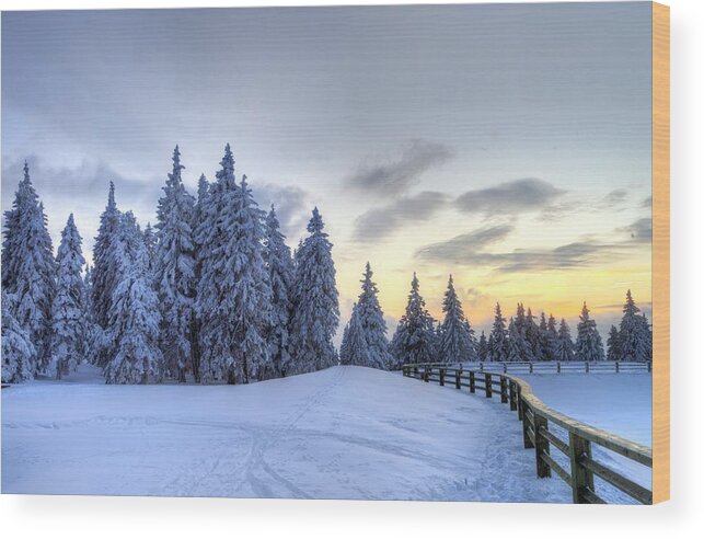  Wood Print featuring the photograph Winter #2 by Ivan Slosar