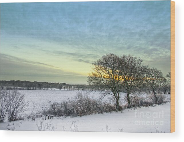 Sweden Wood Print featuring the photograph Winter Sunrise #2 by Antony McAulay
