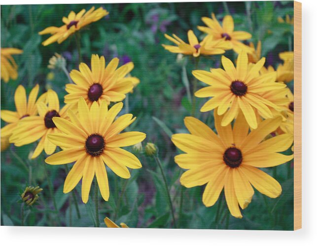 Nature Up Close Wood Print featuring the photograph Yellow Daisy Flowers #1 by Ann Murphy