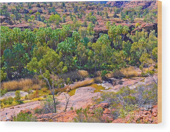 Palm Valley Central Australia Outback Landscape Australian Trees Wood Print featuring the photograph Palm Valley Central Australia #20 by Bill Robinson