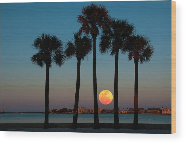 Full Moon Wood Print featuring the photograph 2011 Supermoon by Carolyn D'Alessandro