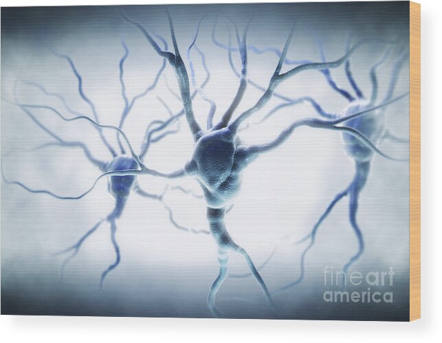 Digitally Generated Image Wood Print featuring the photograph Neurons #29 by Science Picture Co