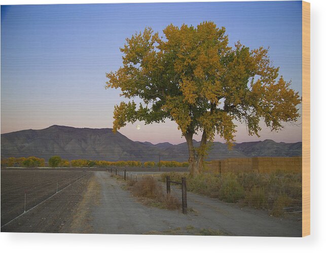  Wood Print featuring the photograph Autumn Moonset #3 by Jim Snyder