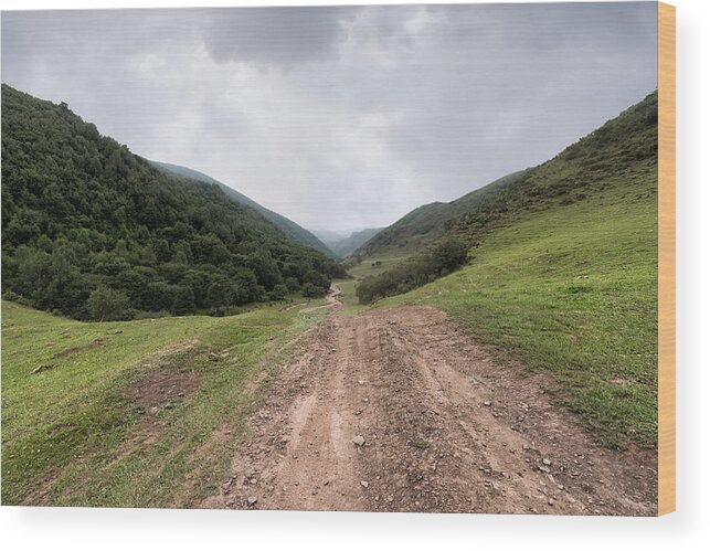 Tranquility Wood Print featuring the photograph Dirt track through raggeds wilderness area #3 by Xuanyu Han