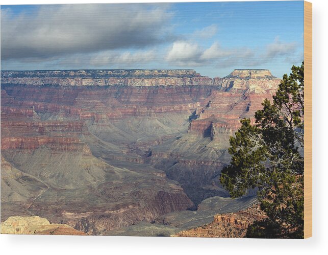 Scenic Wood Print featuring the photograph Grand Canyon National Park in Arizona #4 by Carol M Highsmith