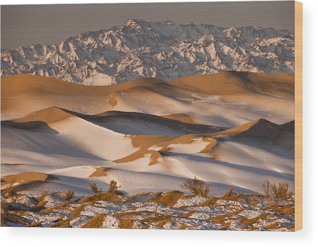 Feb0514 Wood Print featuring the photograph Khongor Sand Dunes In Winter Gobi Desert #4 by Colin Monteath