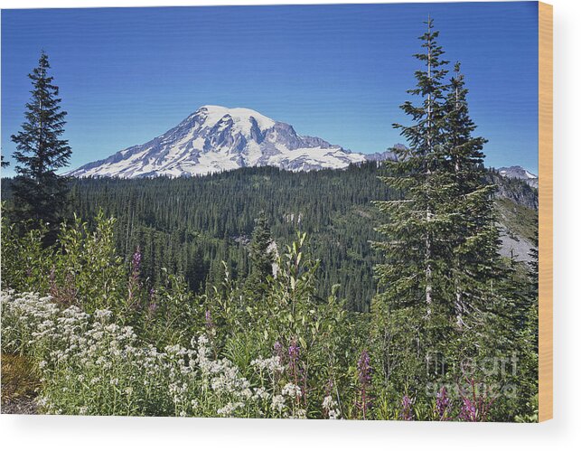 Cascades Mountains Wood Print featuring the photograph Mount Ranier #3 by Ronald Lutz