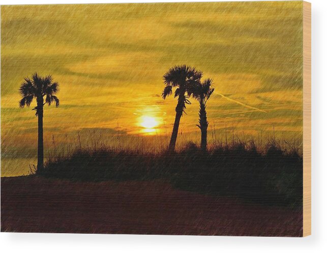 Florida Wood Print featuring the photograph 3 Palms Sunset by Richard Zentner