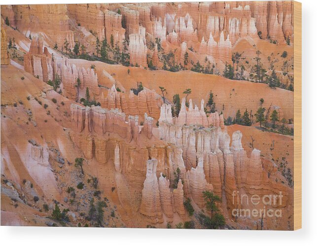 00431141 Wood Print featuring the photograph Sandstone Hoodoos in Bryce Canyon #1 by Yva Momatiuk John Eastcott