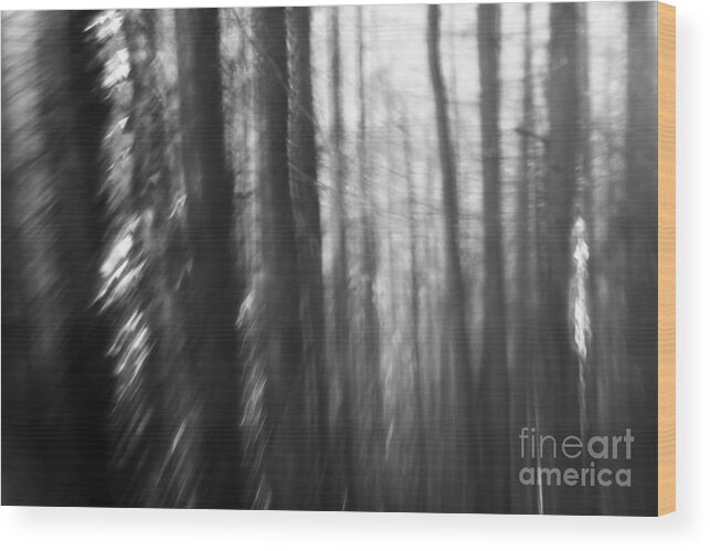 Forest Wood Print featuring the photograph Tales of the forest #3 by Ang El