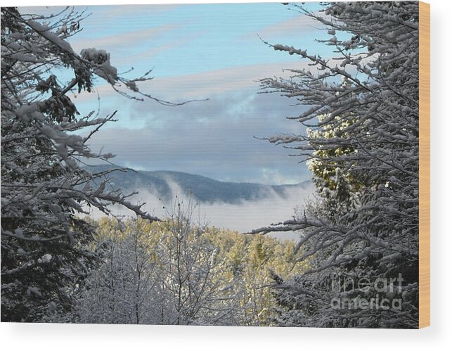 Mountains Wood Print featuring the photograph Through The Trees #3 by Deena Withycombe