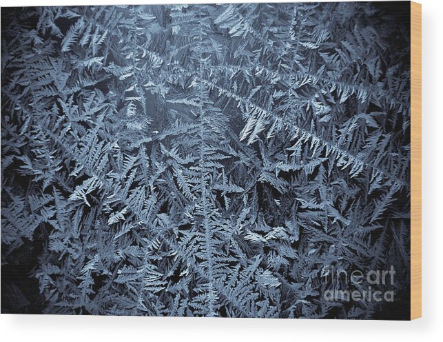 Frost Wood Print featuring the photograph 3D Frost by Cheryl Baxter