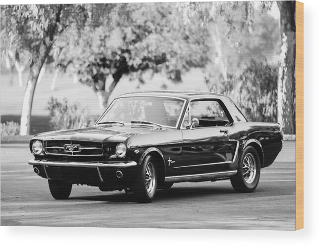 1965 Shelby Prototype Ford Mustang Wood Print featuring the photograph 1965 Shelby Prototype Ford Mustang #2 by Jill Reger