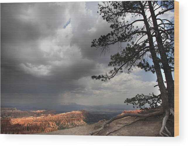 Utah Wood Print featuring the photograph Bryce Canyon Utah #4 by Joseph G Holland