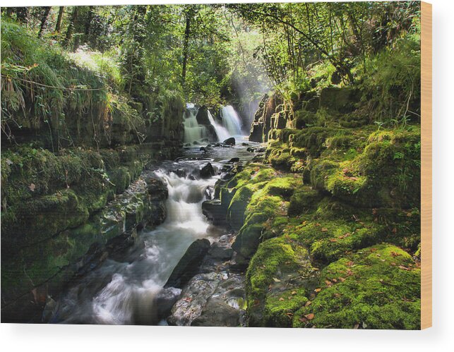 Autumn Wood Print featuring the photograph Clare Glens #5 by Mark Callanan