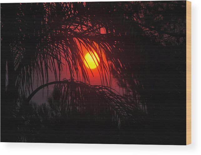 Red Wood Print featuring the photograph Fire In The Sky #1 by Jay Milo