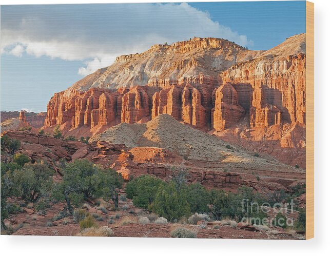 Autumn Wood Print featuring the photograph The Goosenecks Capitol Reef National Park #4 by Fred Stearns