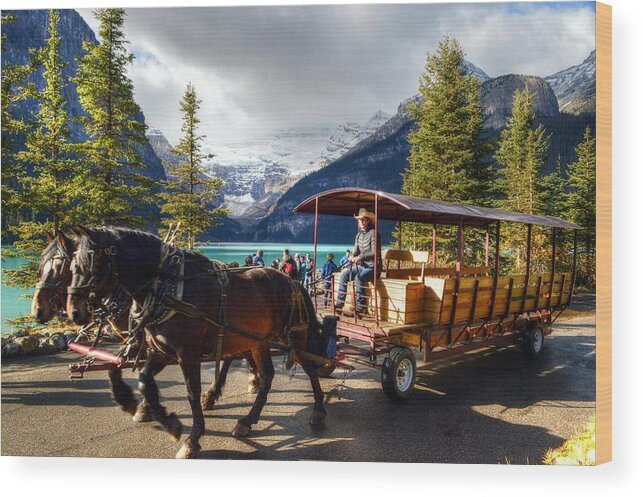 Banff Alberta Canada Wood Print featuring the photograph Banff Alberta Canada #40 by Paul James Bannerman