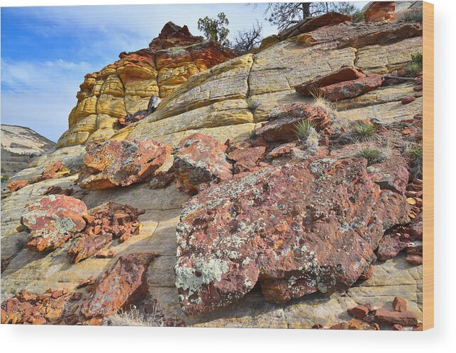 Boulder Wood Print featuring the photograph Boulder-Notom Road Rocks #18 by Ray Mathis