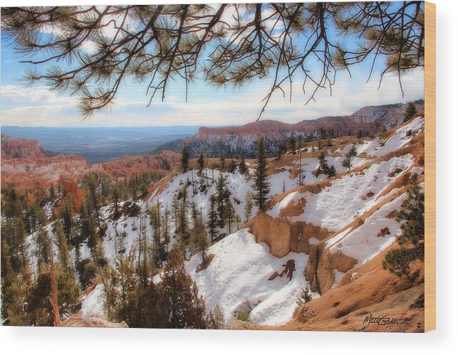 Bryce Canyon Wood Print featuring the photograph Bryce Canyon #1 by Marti Green