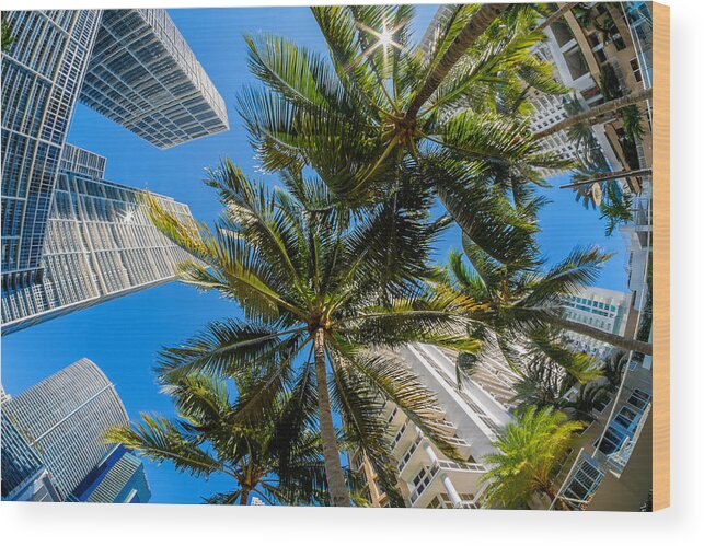 Architecture Wood Print featuring the photograph Downtown Miami Brickell Fisheye by Raul Rodriguez