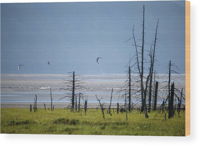 Tidal Bore Wood Print featuring the photograph Feature - Bore Tide Surfing In Alaska #5 by Streeter Lecka