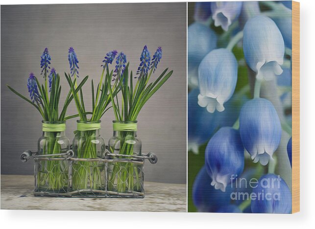 Hyacinth Wood Print featuring the photograph Hyacinth Still Life #5 by Nailia Schwarz