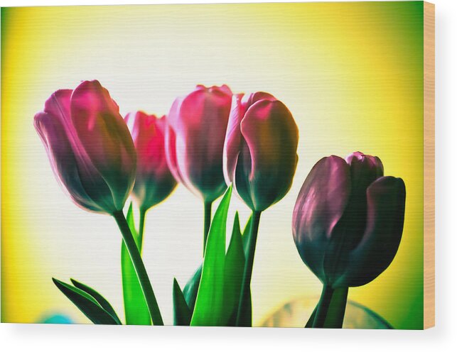 Bouquet Wood Print featuring the photograph 5 Pink Tulips by Ronda Broatch