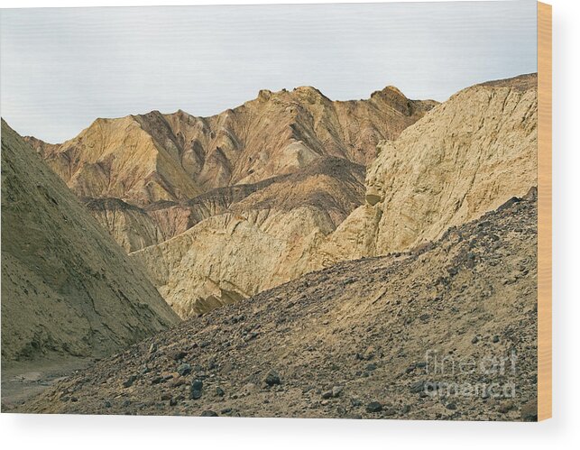 Afternoon Wood Print featuring the photograph Golden Canyon Death Valley National Park #6 by Fred Stearns