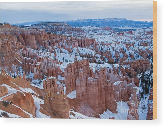 Bryce Canyon Wood Print featuring the photograph Sunset Point Bryce Canyon National Park #6 by Fred Stearns