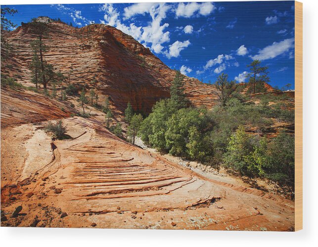 Landscape Wood Print featuring the photograph Zion National Park Utah USA #8 by Richard Wiggins