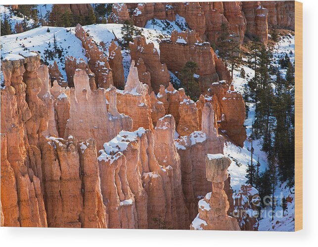 Bryce Canyon Wood Print featuring the photograph Sunset Point Bryce Canyon National Park #7 by Fred Stearns