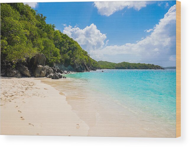 Caribbean Wood Print featuring the photograph Beautiful Caribbean beach by Raul Rodriguez