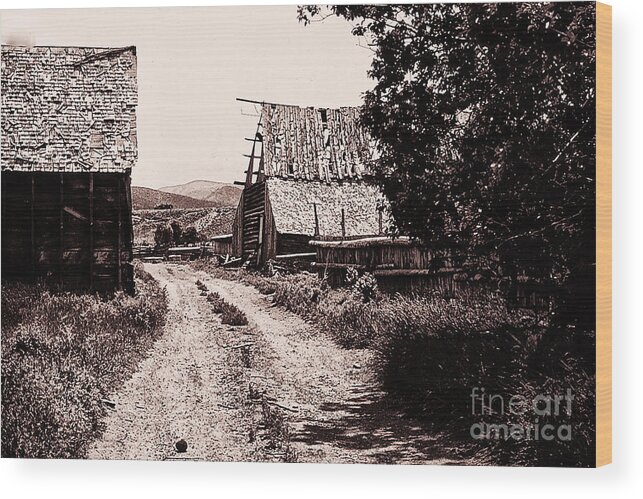 Landscape Wood Print featuring the photograph 868 se A Bit Of Country 3 by Chris Berry