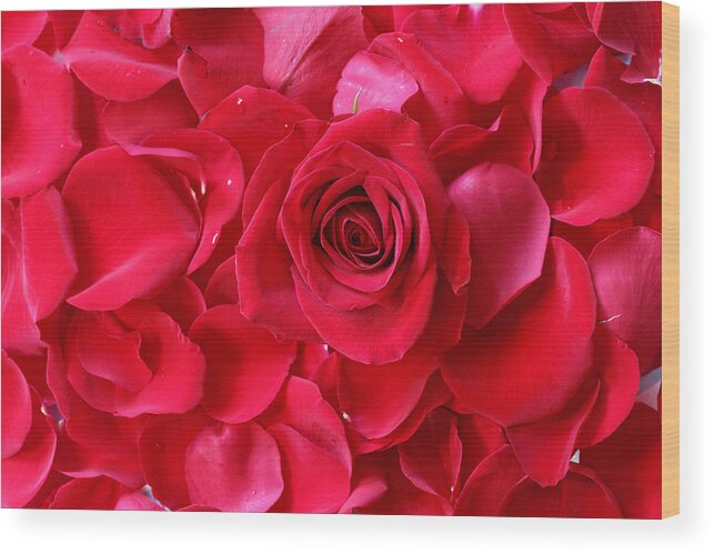 Background Wood Print featuring the photograph Roses #9 by Peter Lakomy