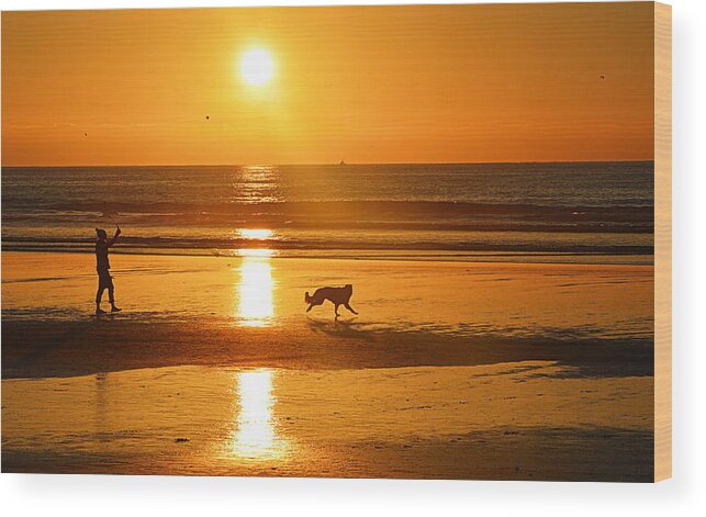 Sunset Wood Print featuring the photograph A Ball to Find by AJ Schibig