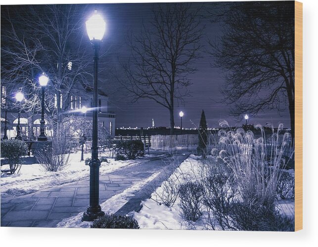 Landscape Wood Print featuring the photograph A Battery Park Winter by Theodore Jones