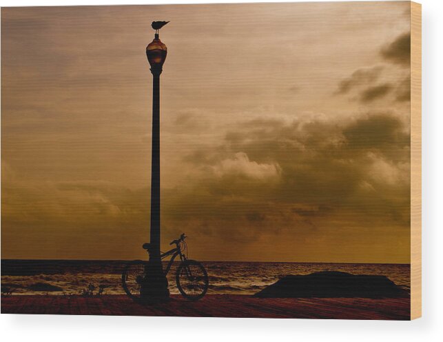 Landscape Wood Print featuring the photograph A Bird And A Bike by Joe Burns