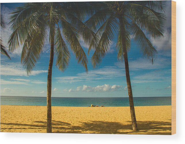 Lanai Beaches Wood Print featuring the photograph A day at the beach by Kunal Mehra