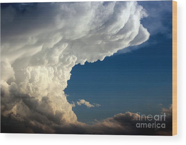 Wall Wood Print featuring the photograph A Face in the Clouds by Barbara Chichester