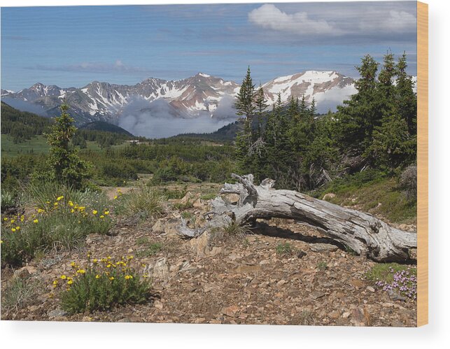 Rocky Mountain National Park Wood Print featuring the photograph A Good Day for a Hike by Ronda Kimbrow