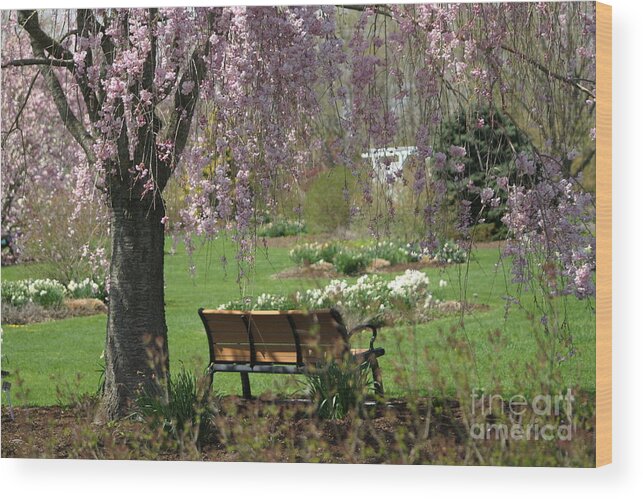 Landscape Wood Print featuring the photograph A Good Place To Read A Book by Living Color Photography Lorraine Lynch