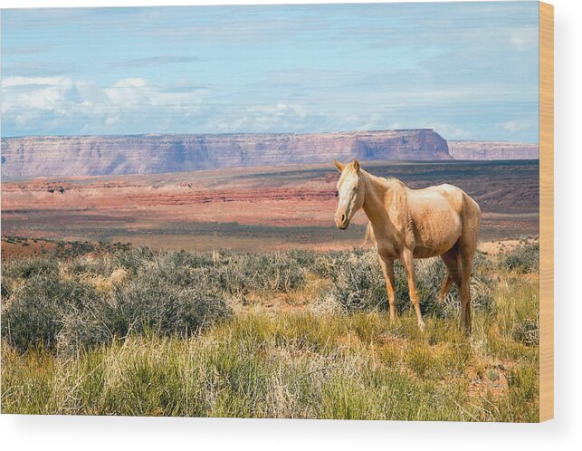 West Wood Print featuring the photograph A Horse with No Name by Nicholas Blackwell