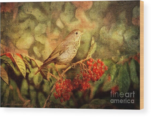 Sparrow Wood Print featuring the digital art A Little Bird With Plumage Brown by Lianne Schneider