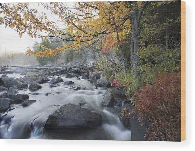 Waterfall Wood Print featuring the photograph A lovely morning by David Barker
