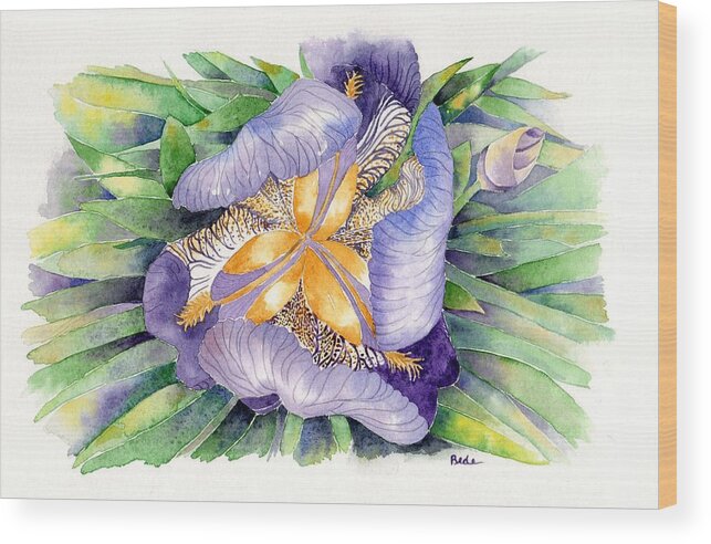 Iris Wood Print featuring the painting A New Perspective by Catherine Bede